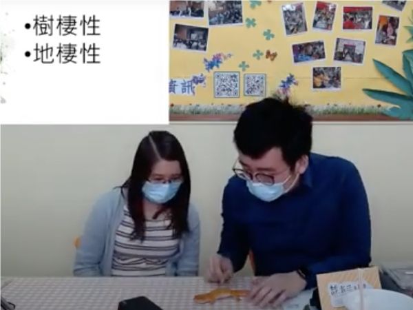 靜 · 新活之蘇沙Summer Channel 寵物小知識 (二)